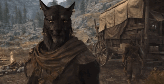 Khajiit Caravan Master Encounters of Skyrim