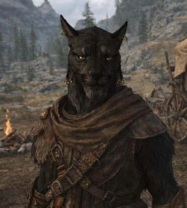 Khajiit Caravan Master Encounters of Skyrim